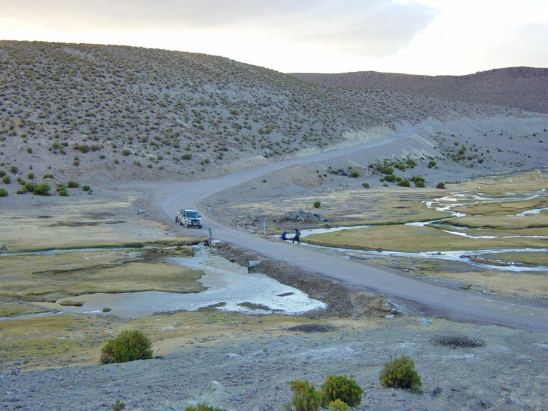 Bofedal río Aroma, Región de Tarapacá