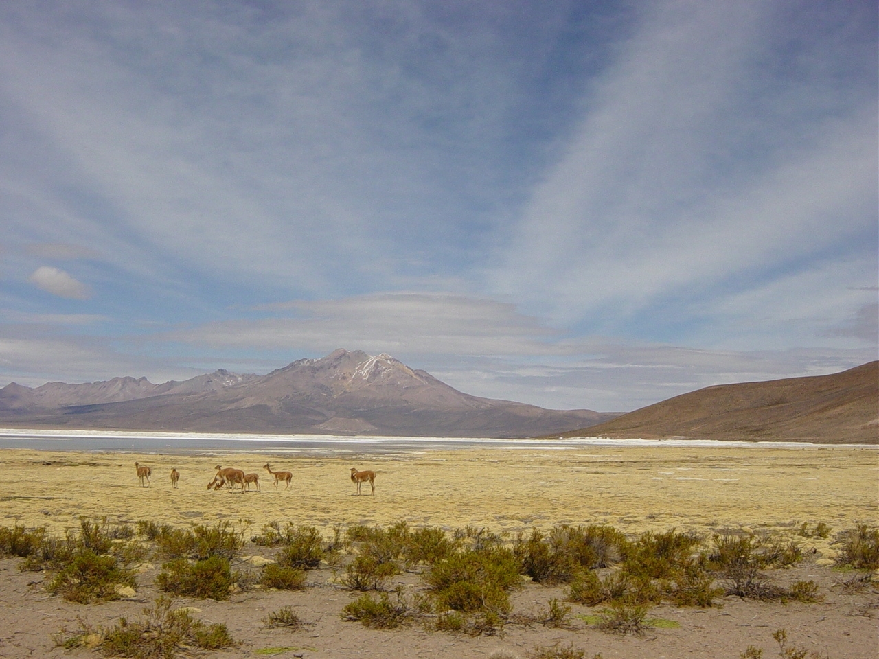 Salar de Surire, Región de Tarapacá