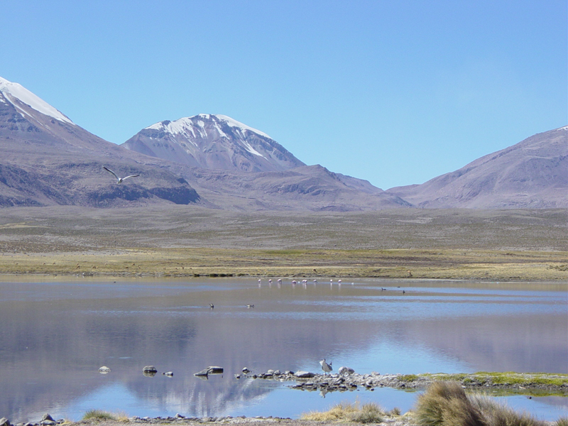 Salar, norte de Chile