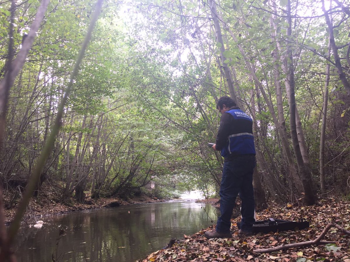 DGA Biobío licita estudio ambiental para río Caliboro 